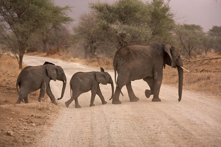 2 Day Zulu Safari Adventure from Durban - Photo 1 of 7